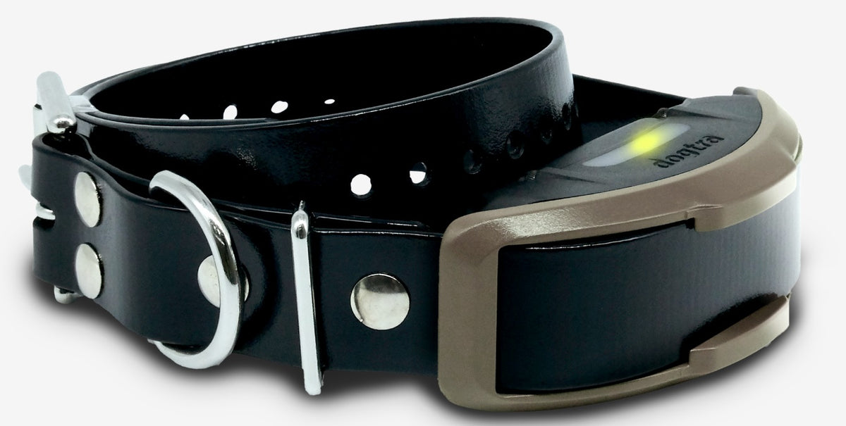 Dogtra 1900X Handsfree Remote Training E-Collar – Soggy Dog Gear