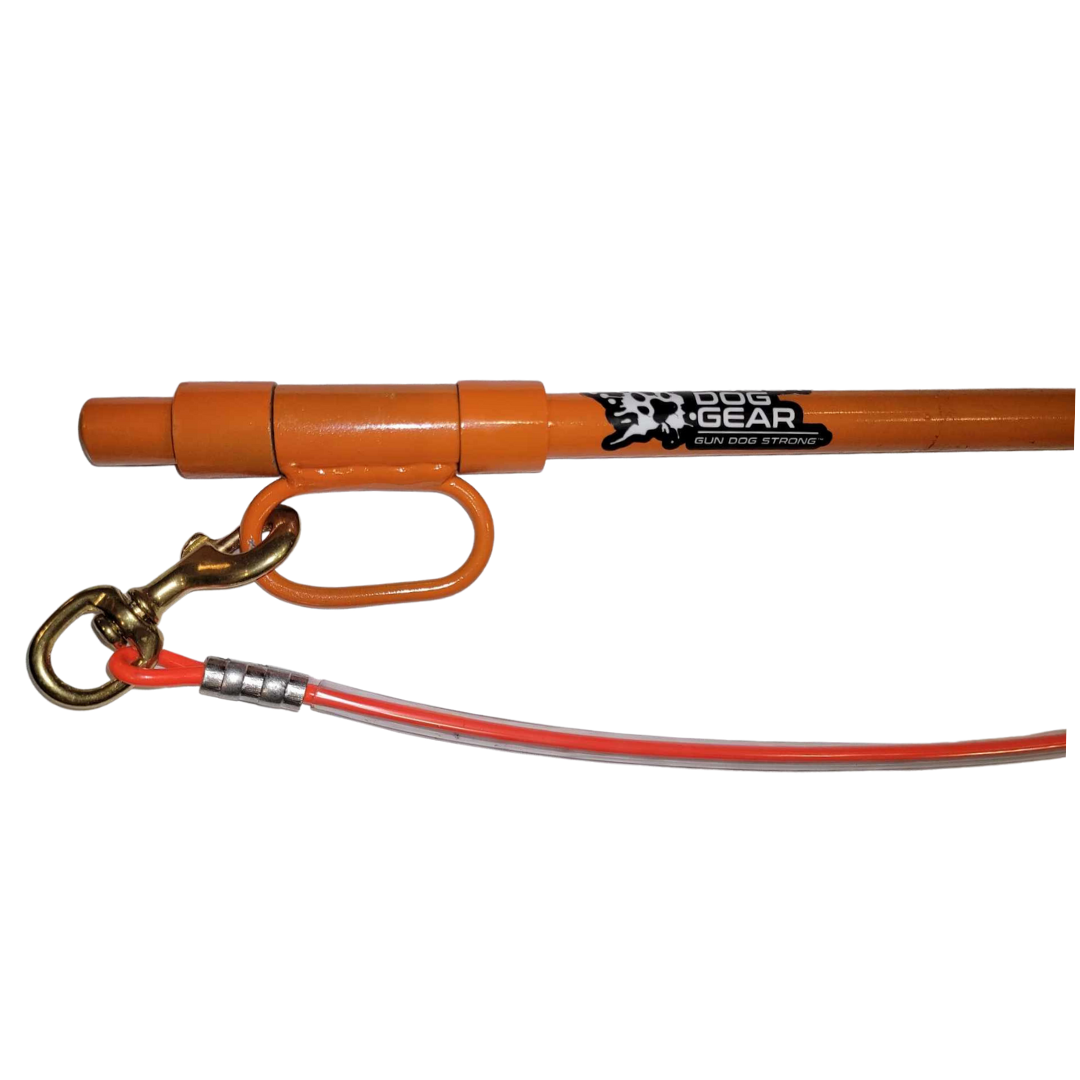 Gun dog outlet gear