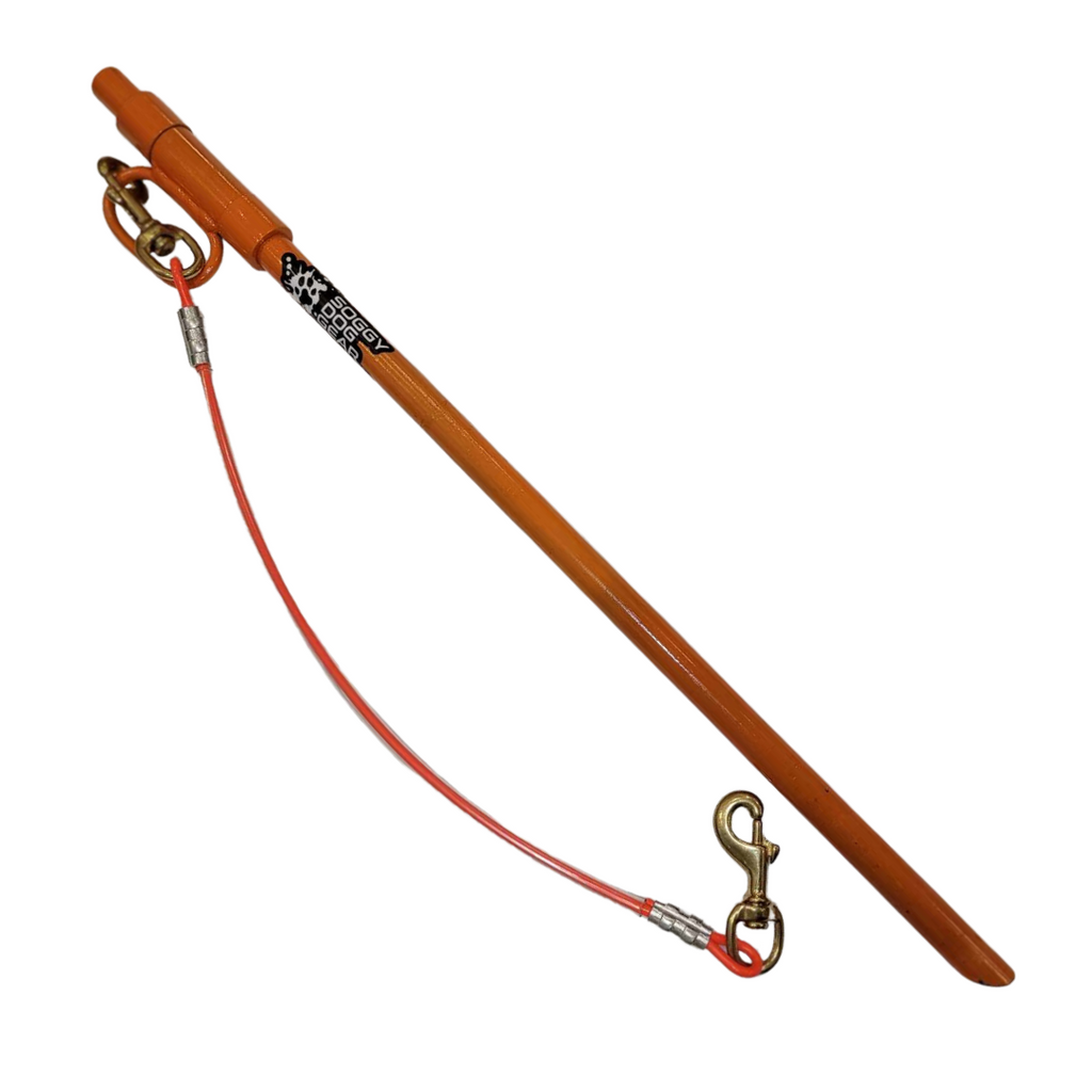 SDG Dog Stake-Out 24