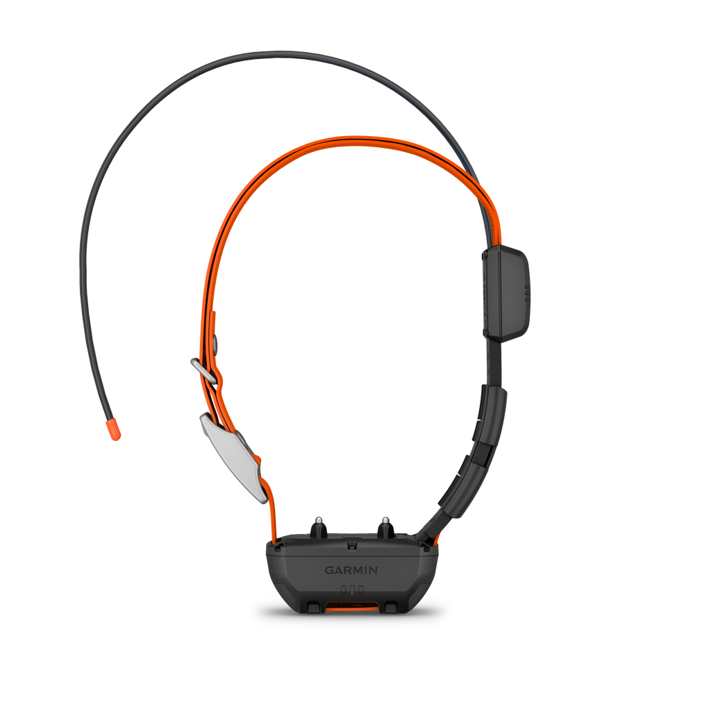 Garmin Alpha TT 25 - GPS Collar
