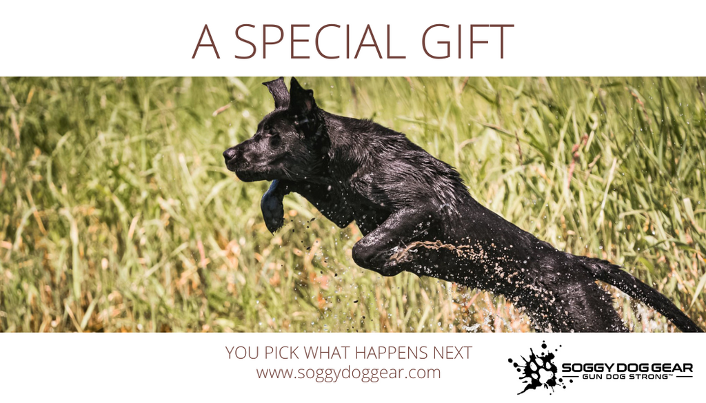 Soggy Dog Gear Gift Card