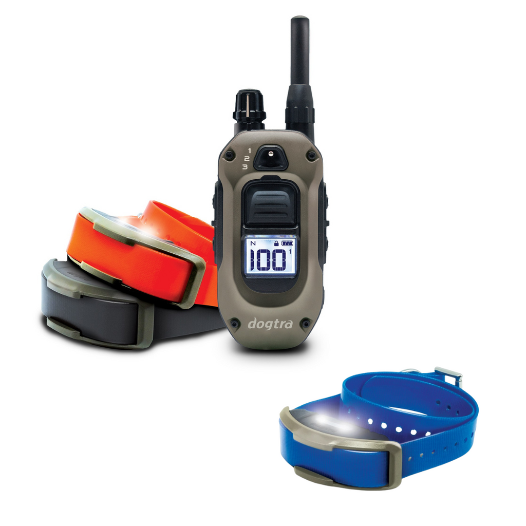 Dogtra 1900X Remote Dog Training Collar – Soggy Dog Gear