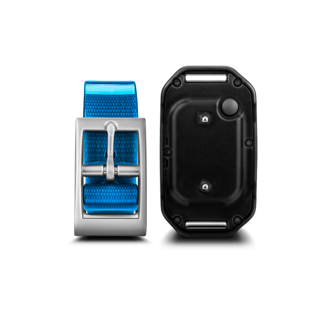 Garmin pro 550 shop add a collar