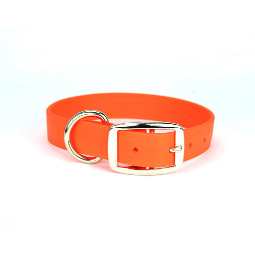 SDG Standard Dog Collar – Soggy Dog Gear