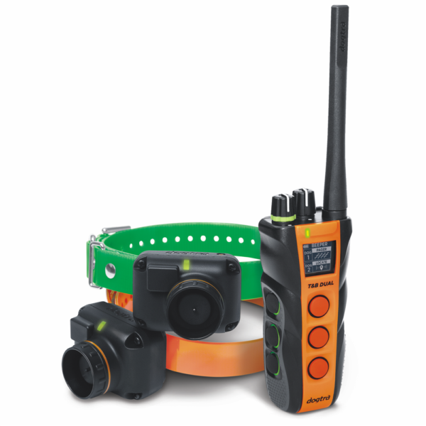 Dogtra 2700 t&b training and best sale beeper collar